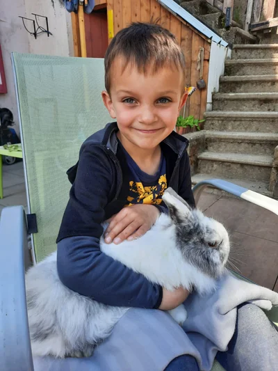 Patchwork, lapin nain croisé Angora