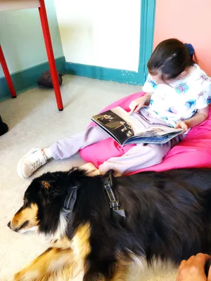 Séance « Lire avec le chien » | Établissement scolaire