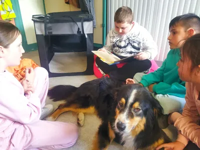 Séance « Lire avec le chien » | Établissement scolaire