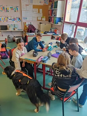Séance de Médiation par l'Animal en Milieu Scolaire