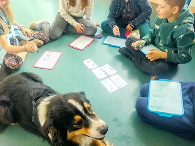 Séance de Médiation par l'Animal en Milieu Scolaire